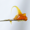 Calcium Base Grease TA